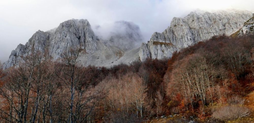 Gli ambientalisti bocciano la legge della Regione sui Parchi: “Proposta partorita nel chiuso di una stanza”
