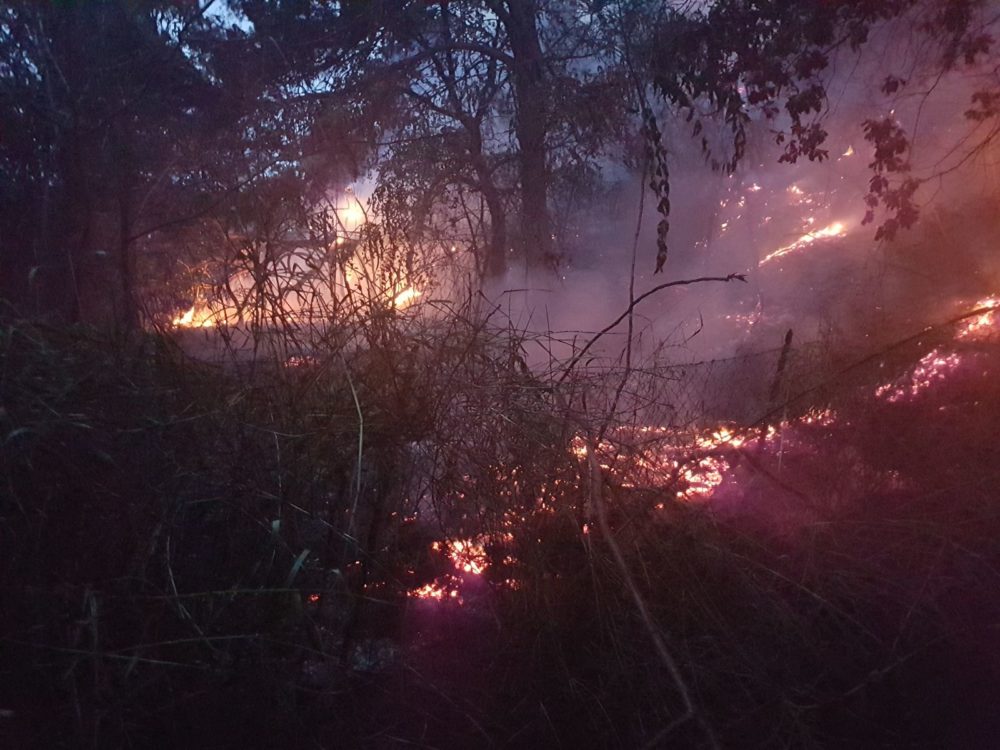 Incendio Montesilvano: famiglie lasciano le case. Denunciato l’uomo che ha provocato il rogo