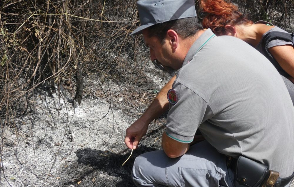 Lettomanoppello, scoperto un piromane. Aveva appiccato il fuoco nel Parco della Majella