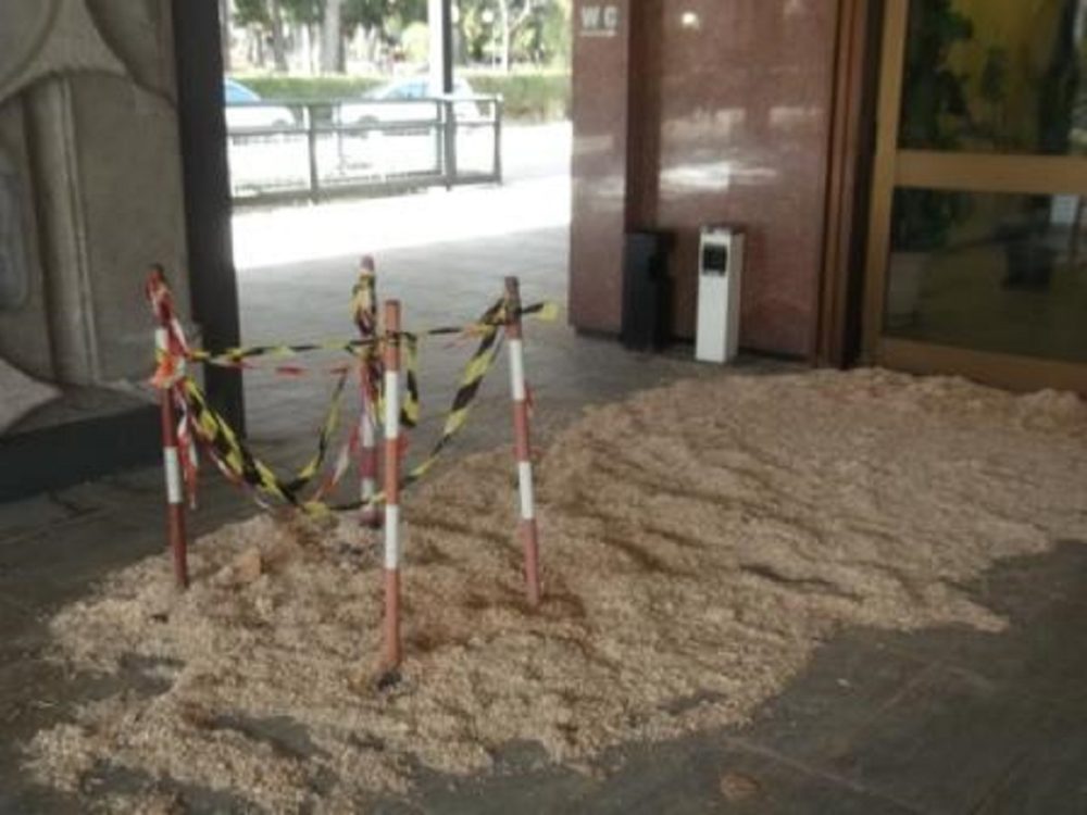 Avezzano, parco Torlonia in totale abbandono. Di Bastiano: “Cittadini indignatevi”