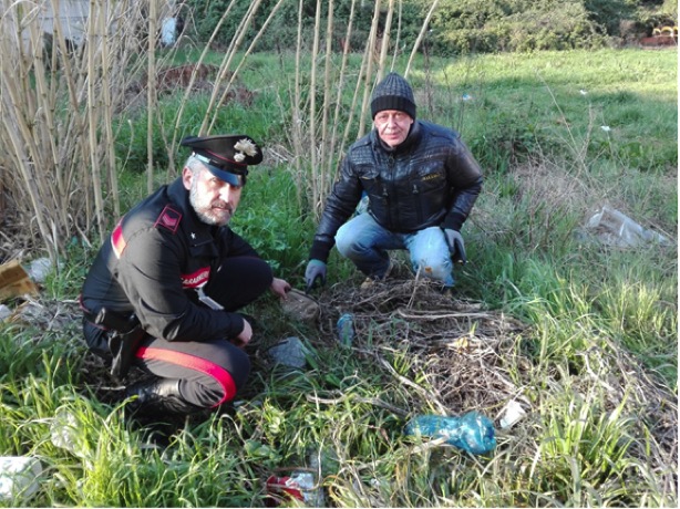 droga-ferro-di-cavallo-pescara