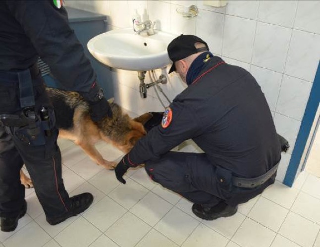 Pescara, controlli antidroga a scuola: il cane dei Carabinieri scova hashish in un armadietto