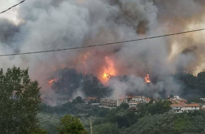Pescara, rogo sulla collina di San Silvestro: la Procura indaga per incendio boschivo